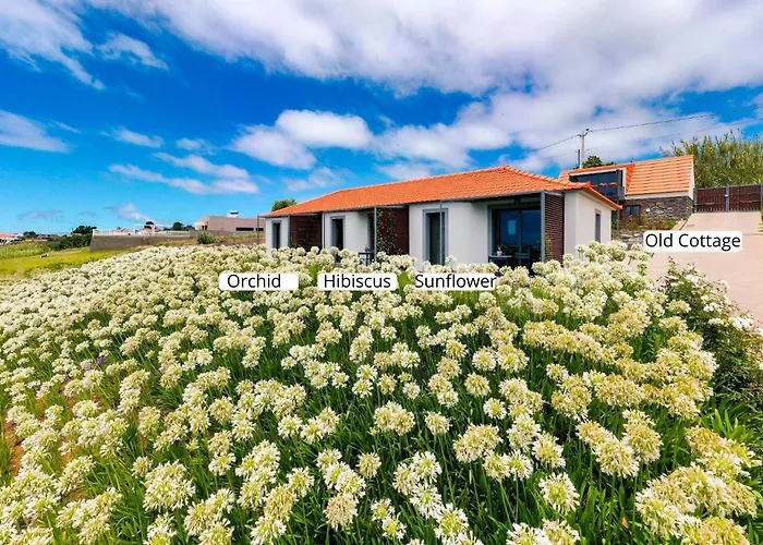 Ourmadeira - Quinta Inacia, Countryside Escape
